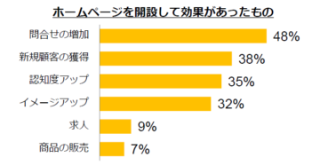 ホームページを開設して効果があったもの　グラフ