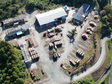 戦略経営者コラム2025年11月の画像